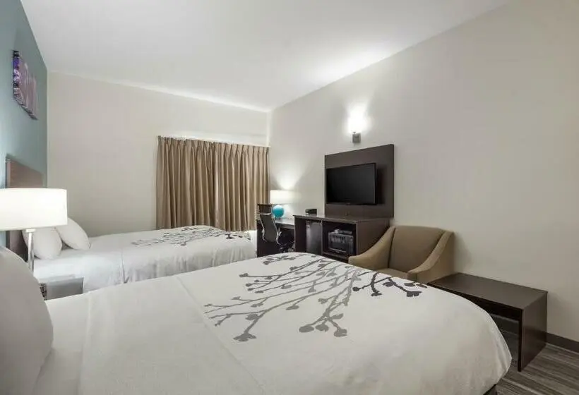 Standard-huone, Sleep Inn & Suites
