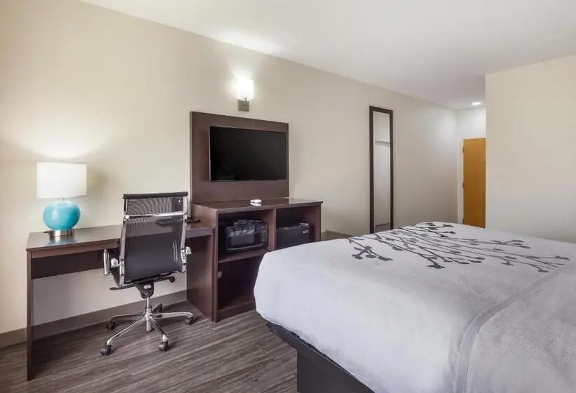 Standard-invahuone King-vuode, Sleep Inn & Suites
