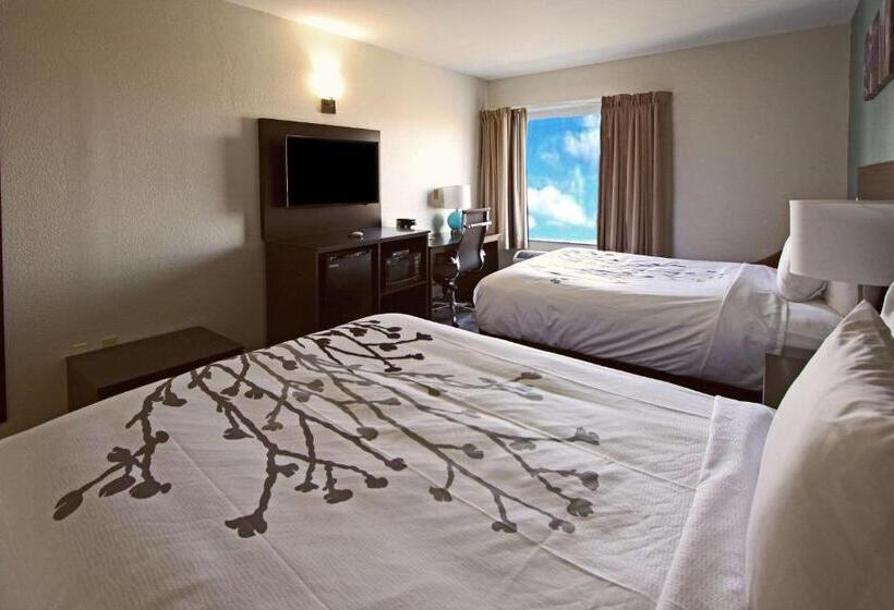 Номер Стандарт Адаптированный для Инвалидов, Sleep Inn & Suites
