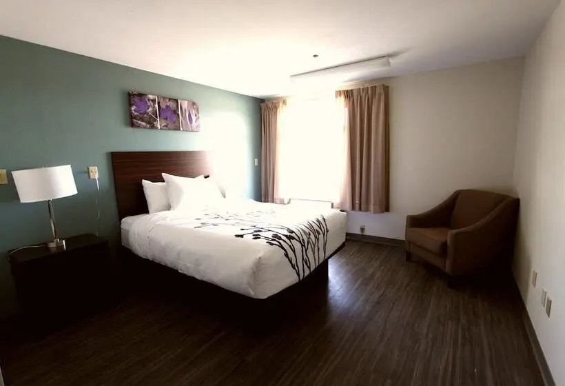 Standard-huone, Sleep Inn & Suites