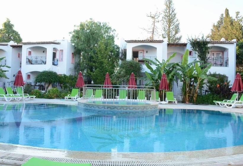 带1个卧室的公寓, Villa Nergis