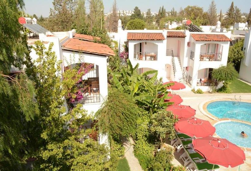 Апартаменты 1 Спальня, Villa Nergis