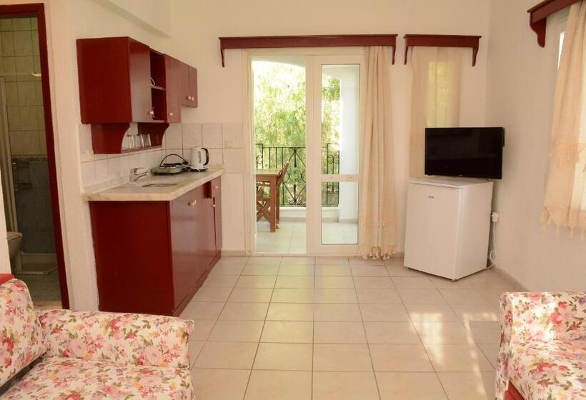 带1个卧室的公寓, Villa Nergis