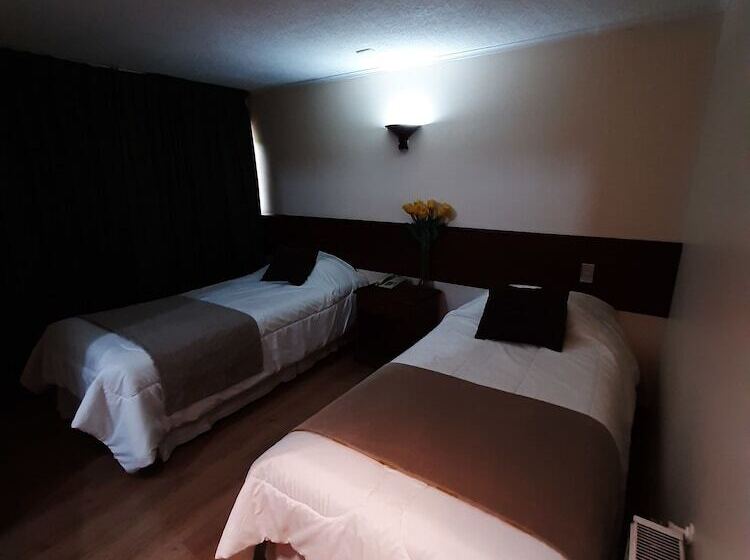 اتاق استاندارد, Nativo Hotel Y Cafeteria