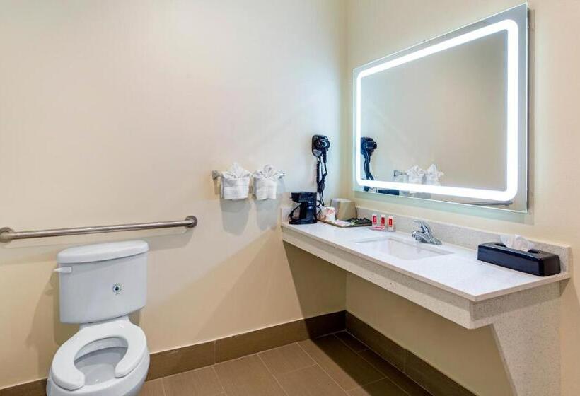 جناح سرير كينج, Econo Lodge Inn & Suites Houston Willowbrook