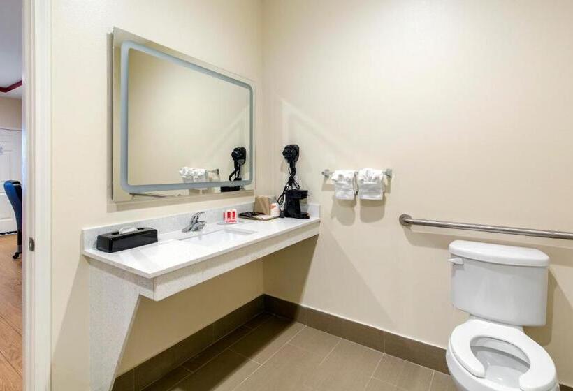 جناح سرير كينج, Econo Lodge Inn & Suites Houston Willowbrook