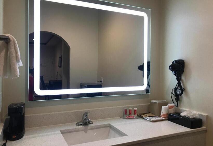 سوئیت با تخت بزرگ, Econo Lodge Inn & Suites Houston Willowbrook
