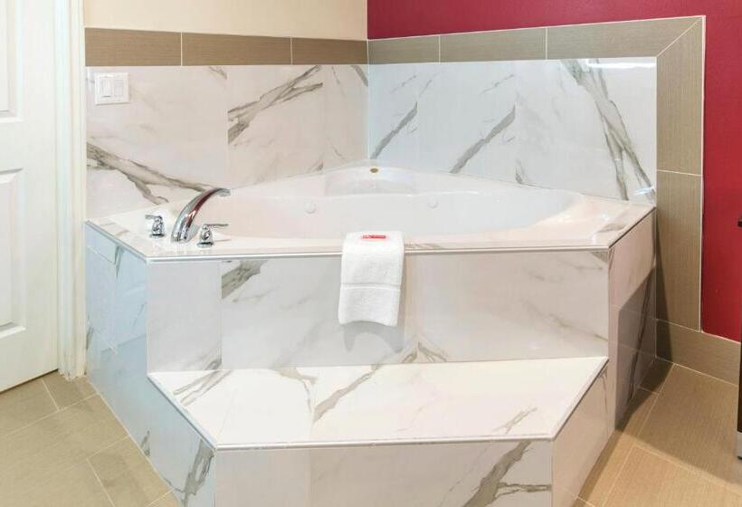 جناح سرير كينج, Econo Lodge Inn & Suites Houston Willowbrook