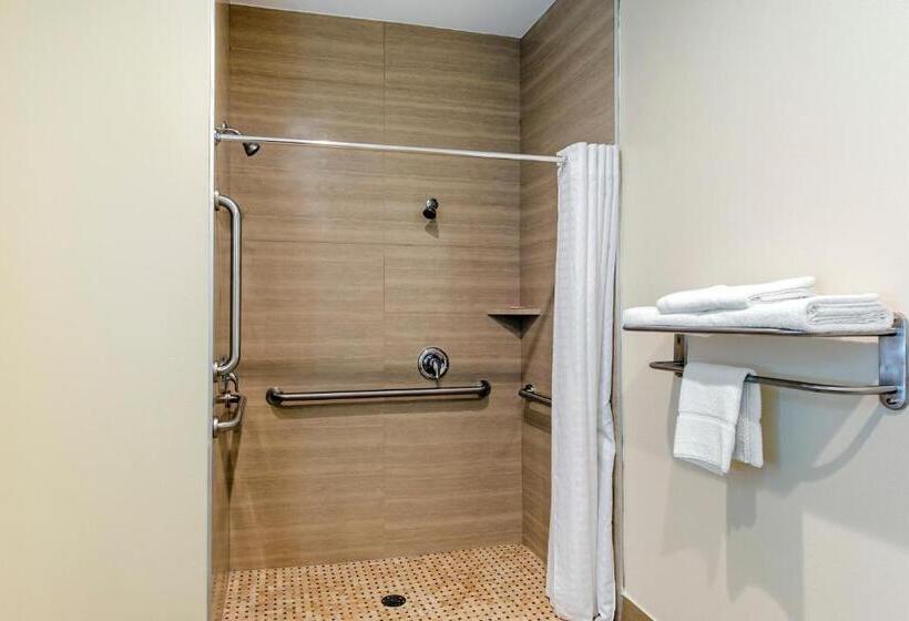 غرفة عائلية, Econo Lodge Inn & Suites Houston Willowbrook