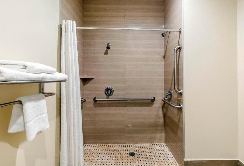 غرفة ديلوكس عائلية, Econo Lodge Inn & Suites Houston Willowbrook