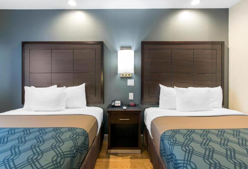اتاق لوکس خانوادگی, Econo Lodge Inn & Suites Houston Willowbrook