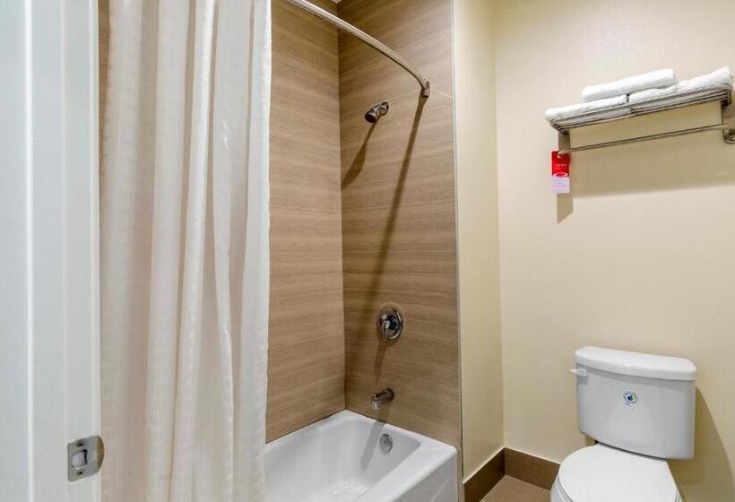 جناح سرير كينج, Econo Lodge Inn & Suites Houston Willowbrook