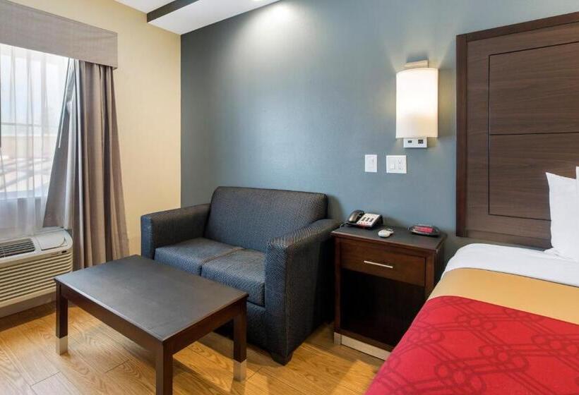 جناح سرير كينج, Econo Lodge Inn & Suites Houston Willowbrook
