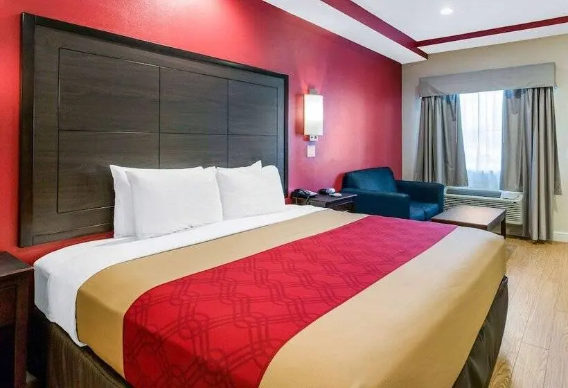 身障者適用スイートルーム, Econo Lodge Inn & Suites Houston Willowbrook