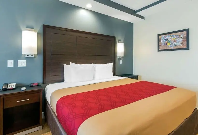 身障者適用スイートルーム, Econo Lodge Inn & Suites Houston Willowbrook