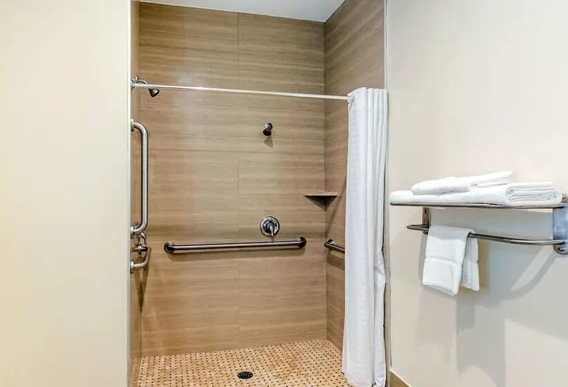 身障者適用スイートルーム, Econo Lodge Inn & Suites Houston Willowbrook