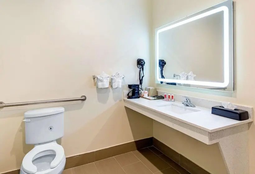 身障者適用スイートルーム, Econo Lodge Inn & Suites Houston Willowbrook