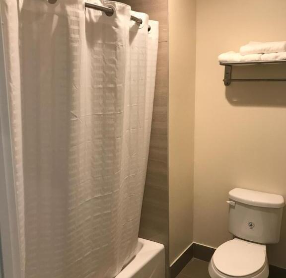 غرفة عائلية, Econo Lodge Inn & Suites Houston Willowbrook