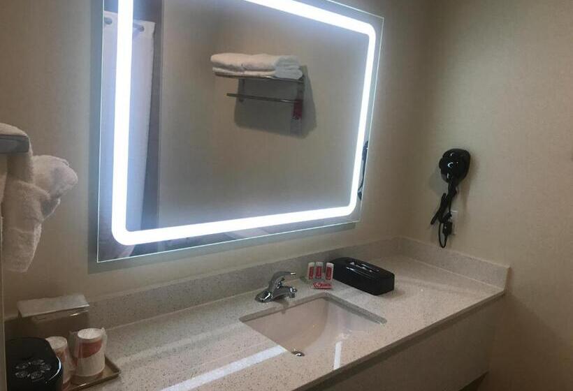 غرفة عائلية, Econo Lodge Inn & Suites Houston Willowbrook