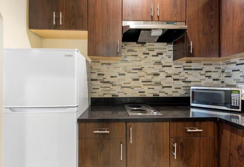 اتاق لوکس خانوادگی, Econo Lodge Inn & Suites Houston Willowbrook