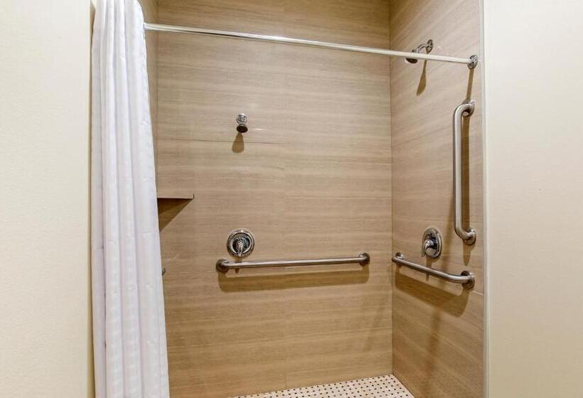 جناح سرير كينج, Econo Lodge Inn & Suites Houston Willowbrook