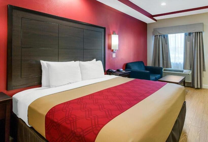 سوئیت با تخت بزرگ, Econo Lodge Inn & Suites Houston Willowbrook