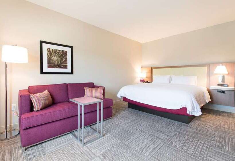 اتاق استاندارد, Hampton Inn & Suites Southwest/sioux Falls
