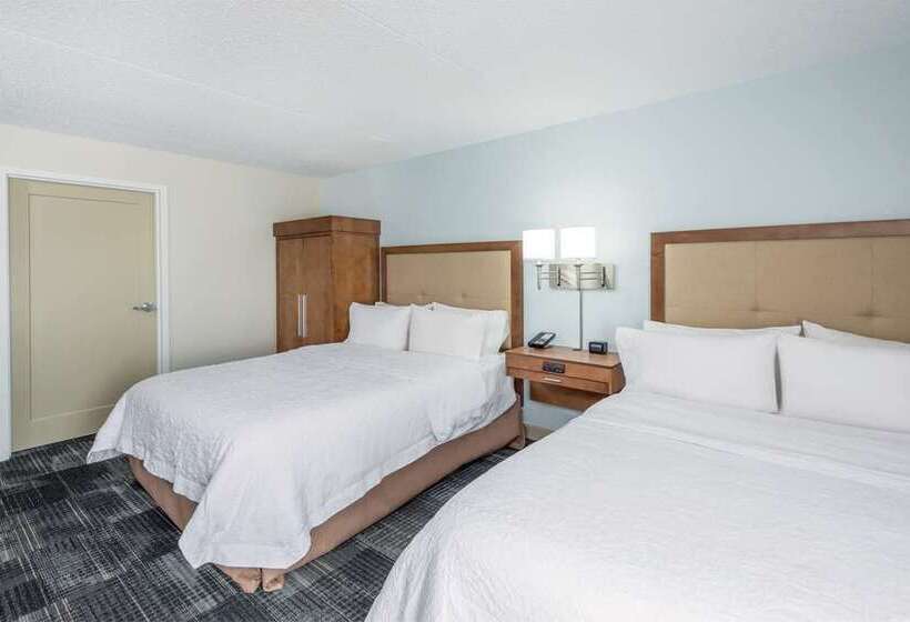اتاق استاندارد برای معلولان, Hampton Inn & Suites Southwest/sioux Falls