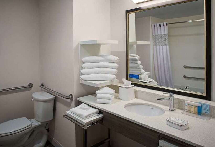 اتاق استاندارد برای معلولان, Hampton Inn & Suites Southwest/sioux Falls