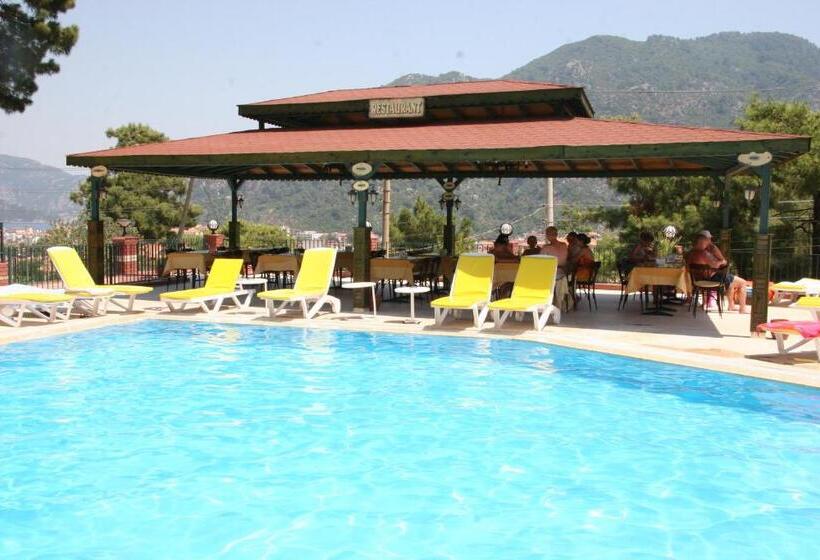 דירת חדר, Life Apart