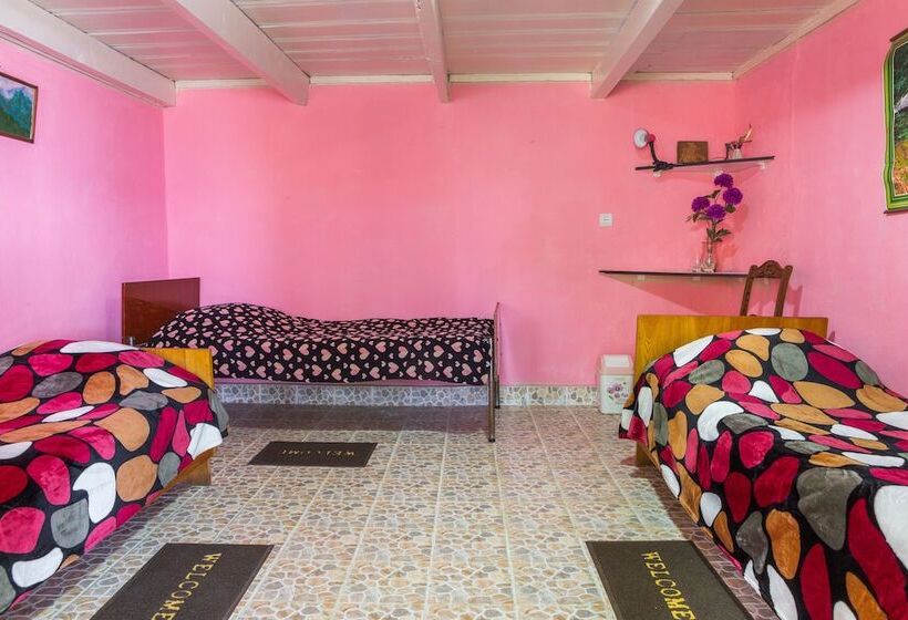 اتاق استاندارد سه تخته با سرویس بهداشتی مشترک, Manana