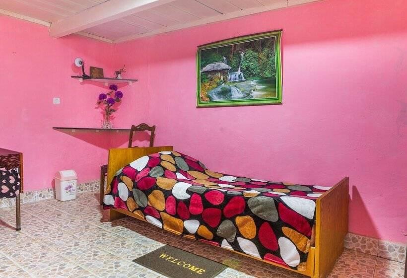 اتاق استاندارد سه تخته با سرویس بهداشتی مشترک, Manana