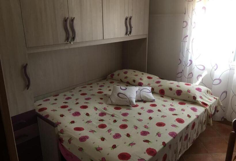 חדר בסיסי, Rudy Arenaile