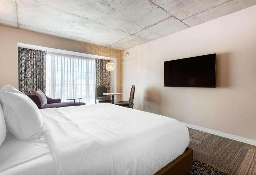 带大床的标准间, Cambria Hotel New Orleans Downtown Warehouse District