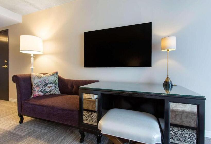 标准间, Cambria Hotel New Orleans Downtown Warehouse District