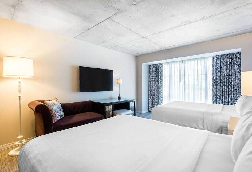 标准间, Cambria Hotel New Orleans Downtown Warehouse District