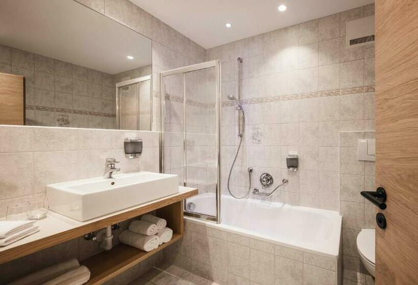 חדר סטנדרט נוף להרים, Alpenhof