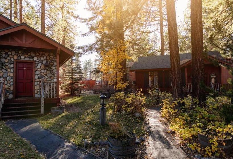 خانه 1 خوابه, Black Bear Lodge