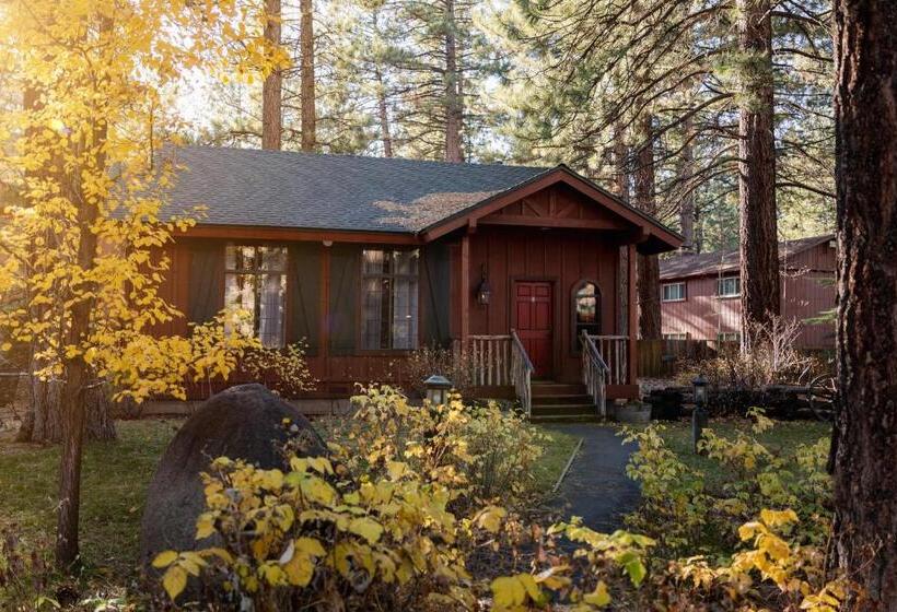 خانه 1 خوابه, Black Bear Lodge