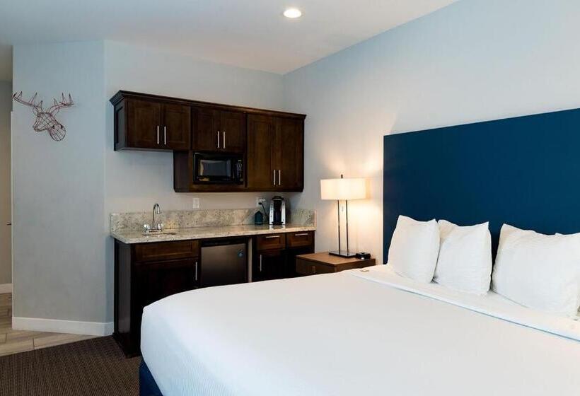 اتاق استاندارد با تخت بزرگ, Black Bear Lodge