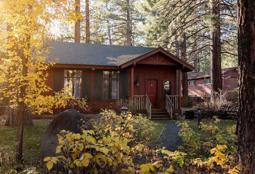 کابین, Black Bear Lodge