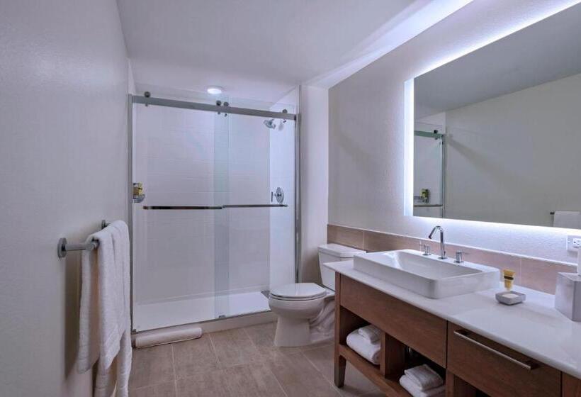 Стандартный Номер Кровать Кинг, Element Palmdale