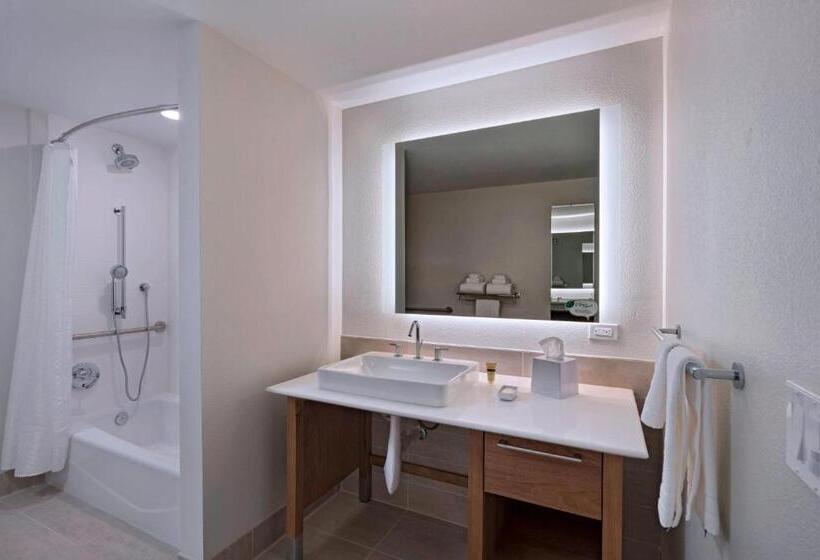 Студио Стандарт Кровать Кинг, Element Palmdale