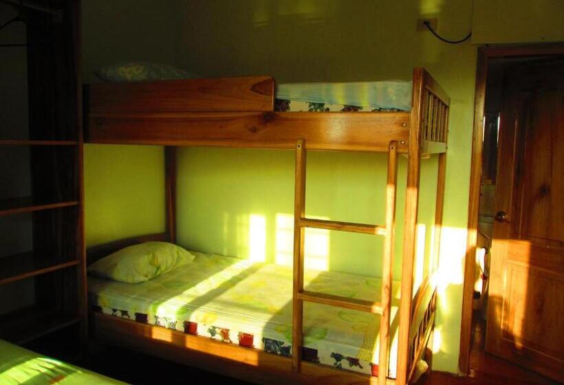 ファミリールーム, Mediterraneo