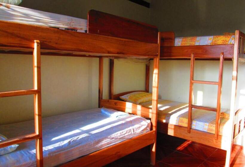 ４ベッドルームクラシックタイプ, Mediterraneo