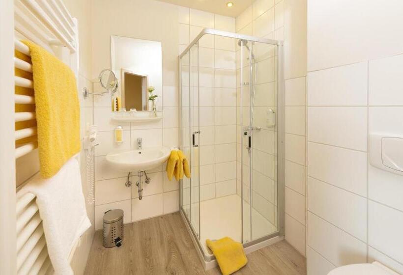 Номер Стандарт Индивидуальный, Panorama Landgasthof Ranzinger