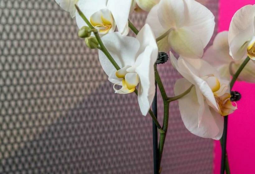 סוויטת ג'וניור םע נוף, Magic Hotel Xhibition