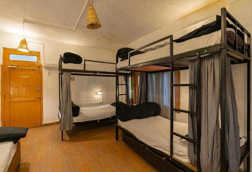 تختخواب در اتاق مشترک, Nomads Hostel