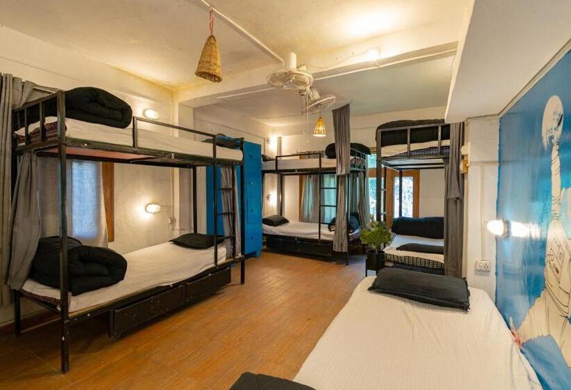 تختخواب در اتاق مشترک, Nomads Hostel