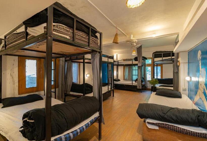 공동 객실, Nomads Hostel